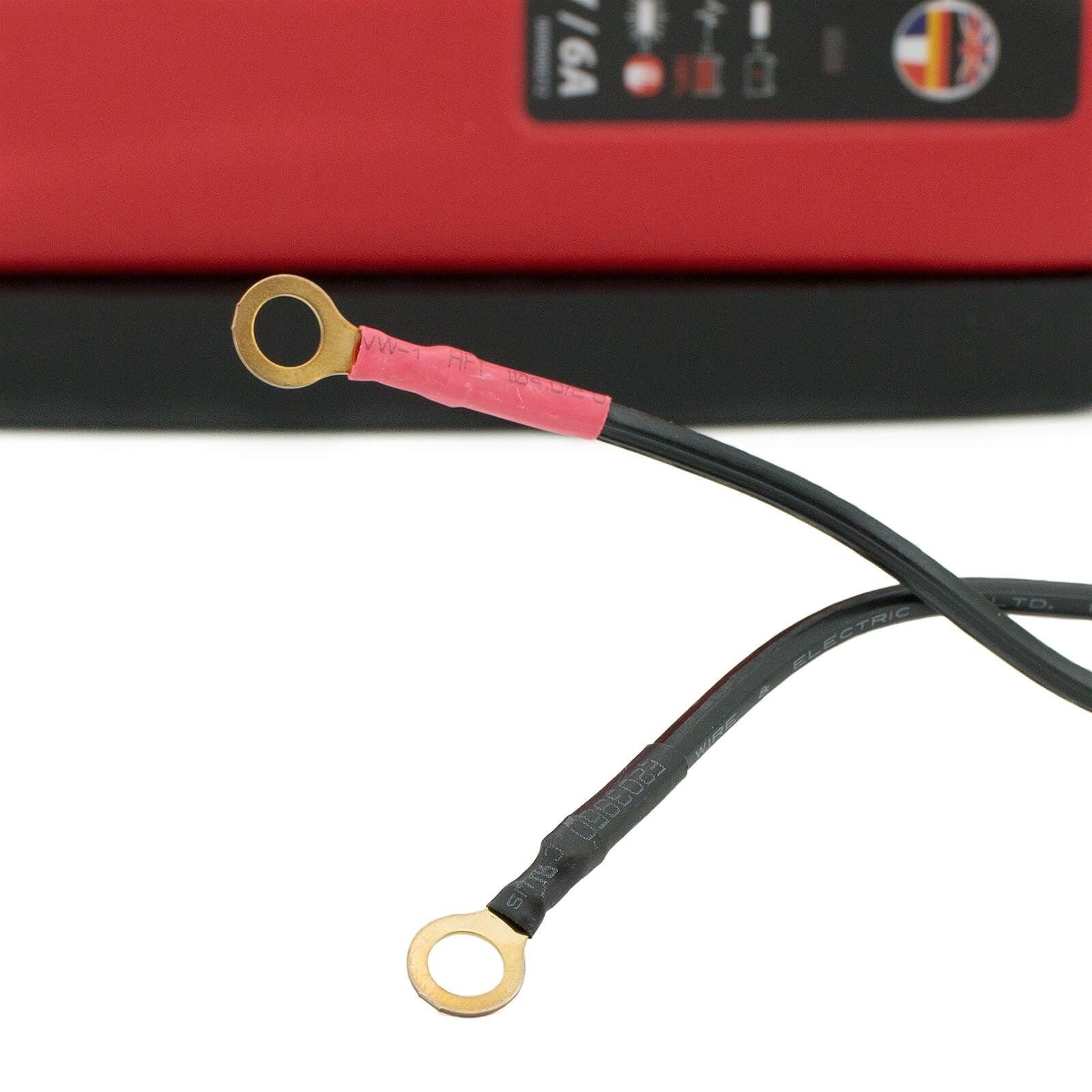 Banner Batterien Automatisches Batterieladegerät 12 Volt 6 A Typ 1240000060 Autobatterie-Ladegerät