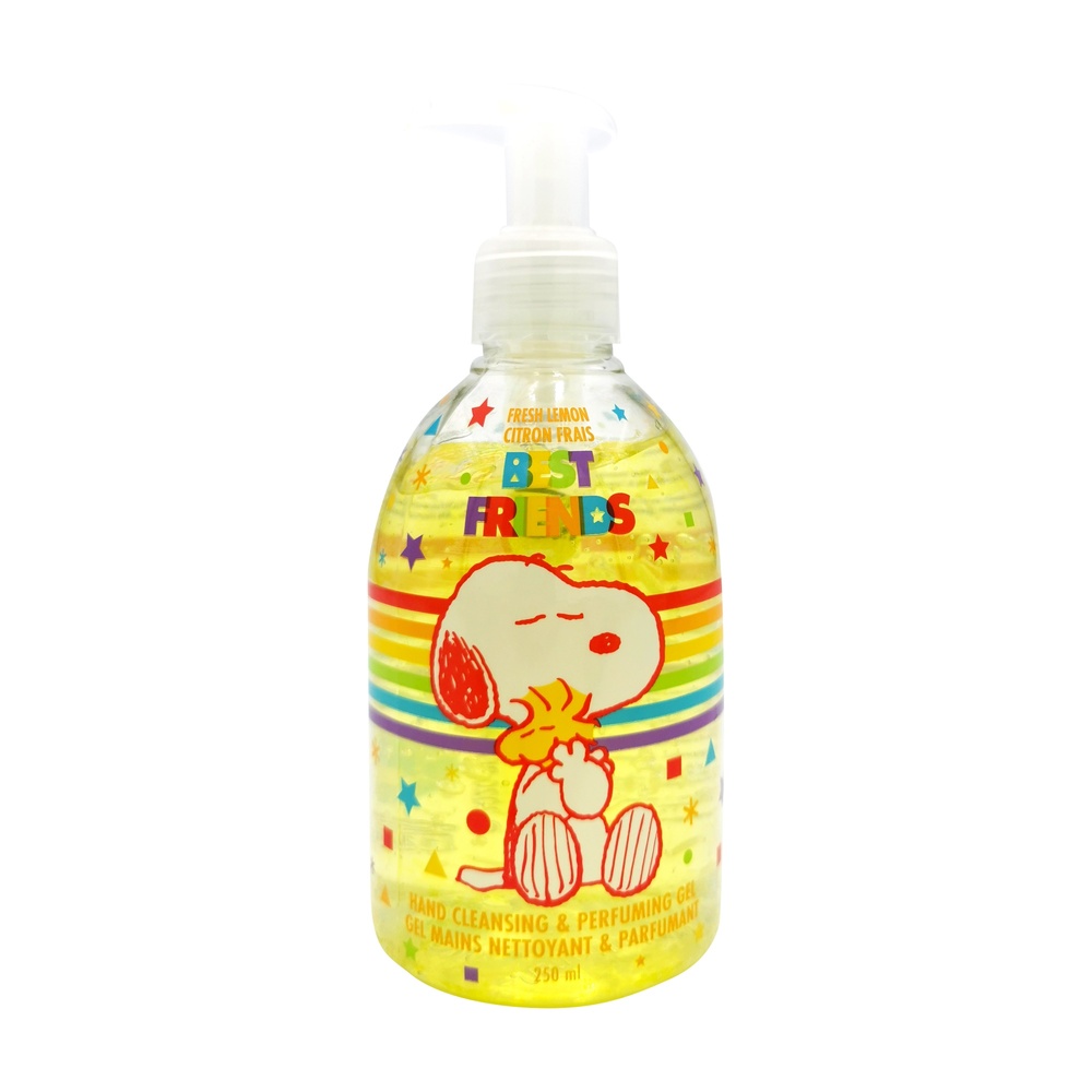 takecare GEL MAINS NETTOYANT ET PARFUMANT 250 ML GEL MAINS