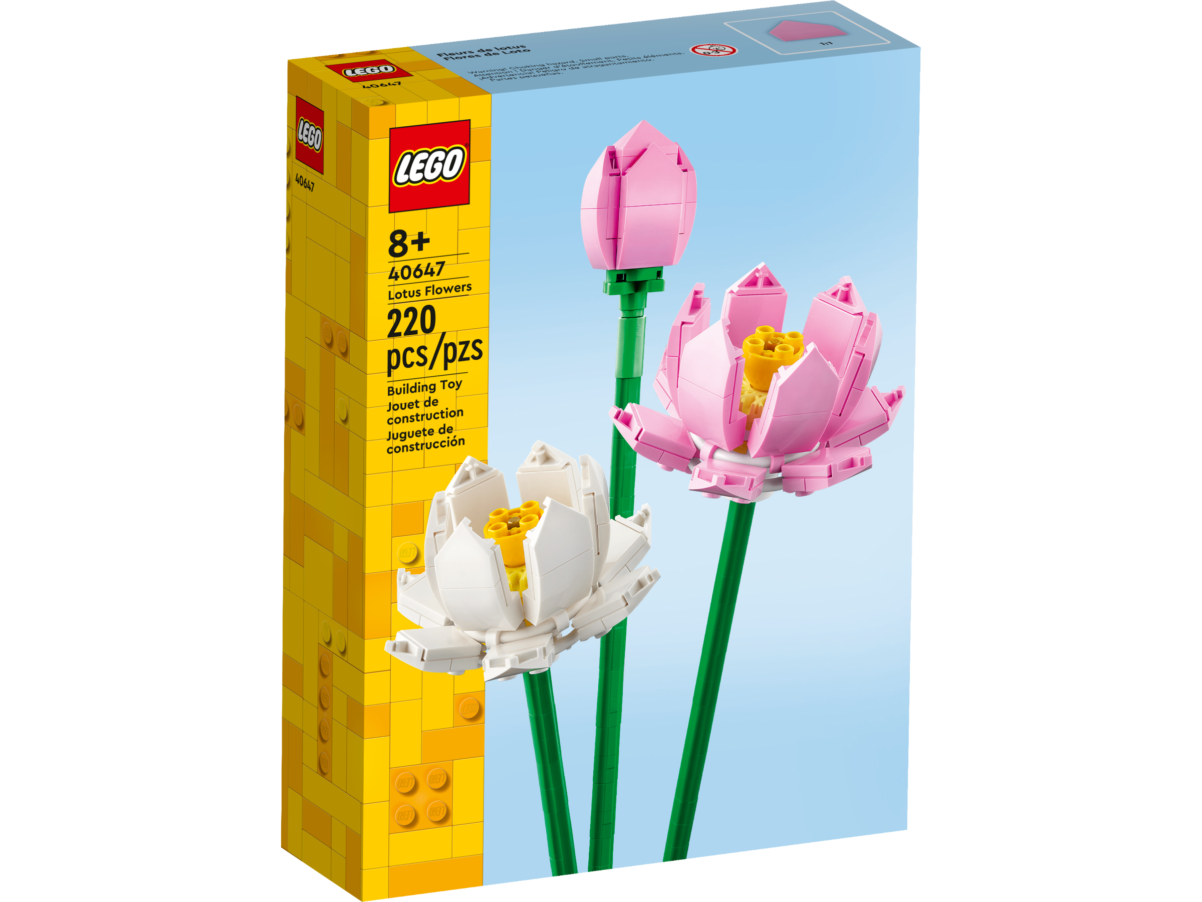 Lotusblumen 40647