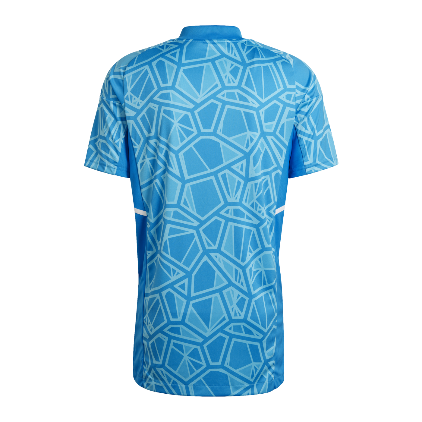 adidas Condivo 22 Torwarttrikot Blau