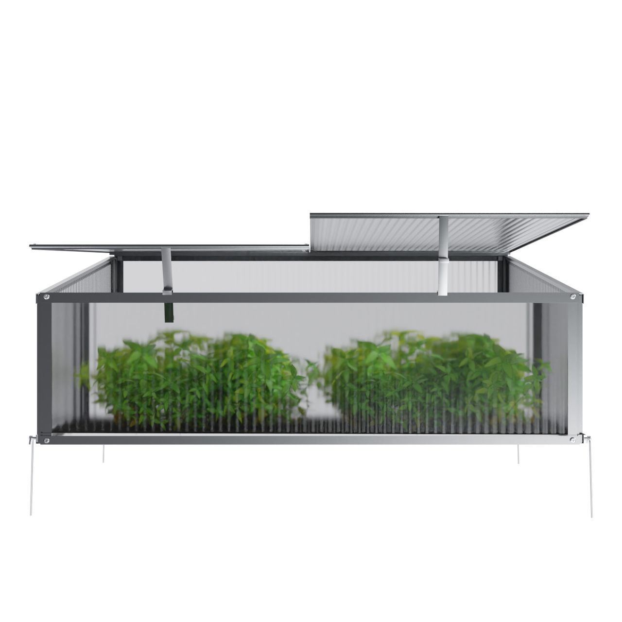 Garmio Frühbeet Mini Gewächshaus Allium Dachfenster, UV-Schutz, Alu Frühbeet, Mini-Gewächshaus