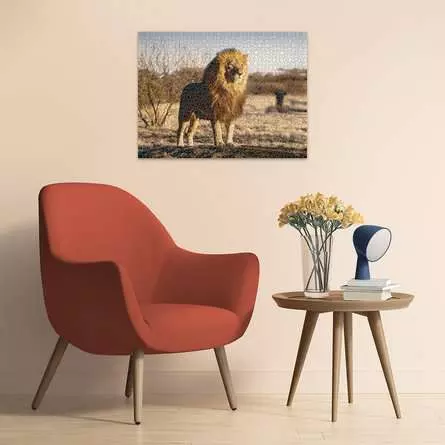 Puzzle 1500 Teile - Lion, King of the Animals