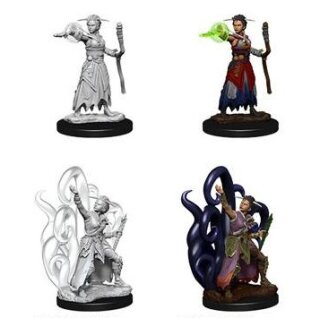 Female Human Warlock: D&D Nolzurs Marvelous Miniatures
