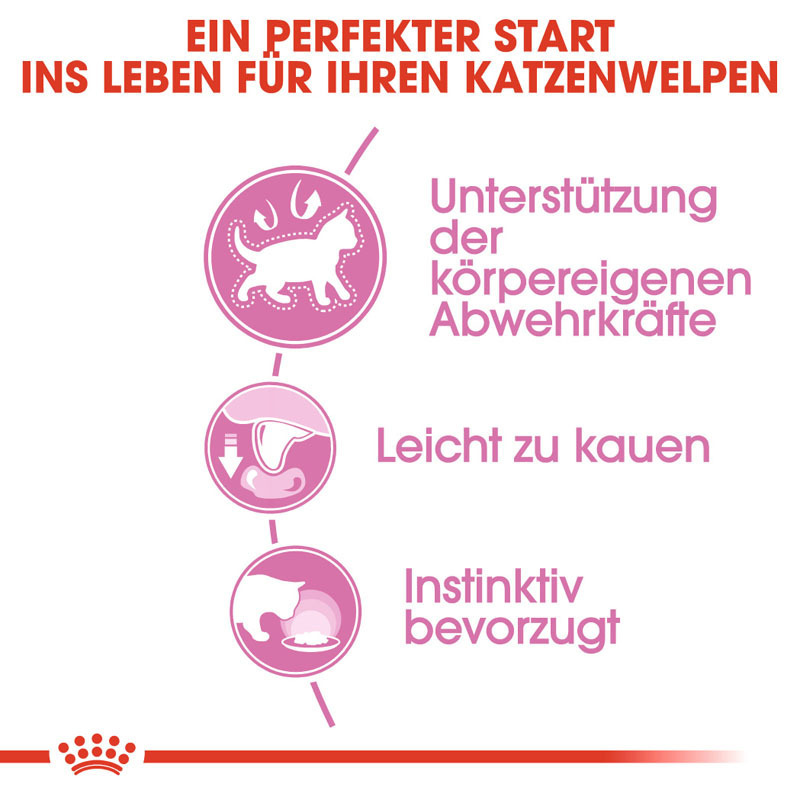 ROYAL CANIN Nassfutter ROYAL CANIN Kitten 12x85g in Soße