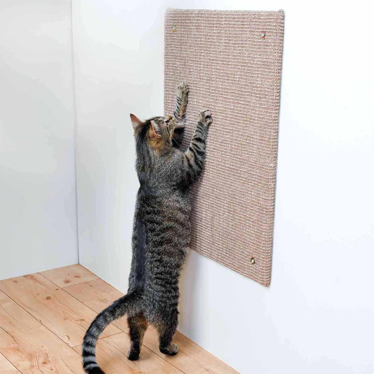 Trixie Kratzbrett XL 50 x 70 cm günstig kaufen