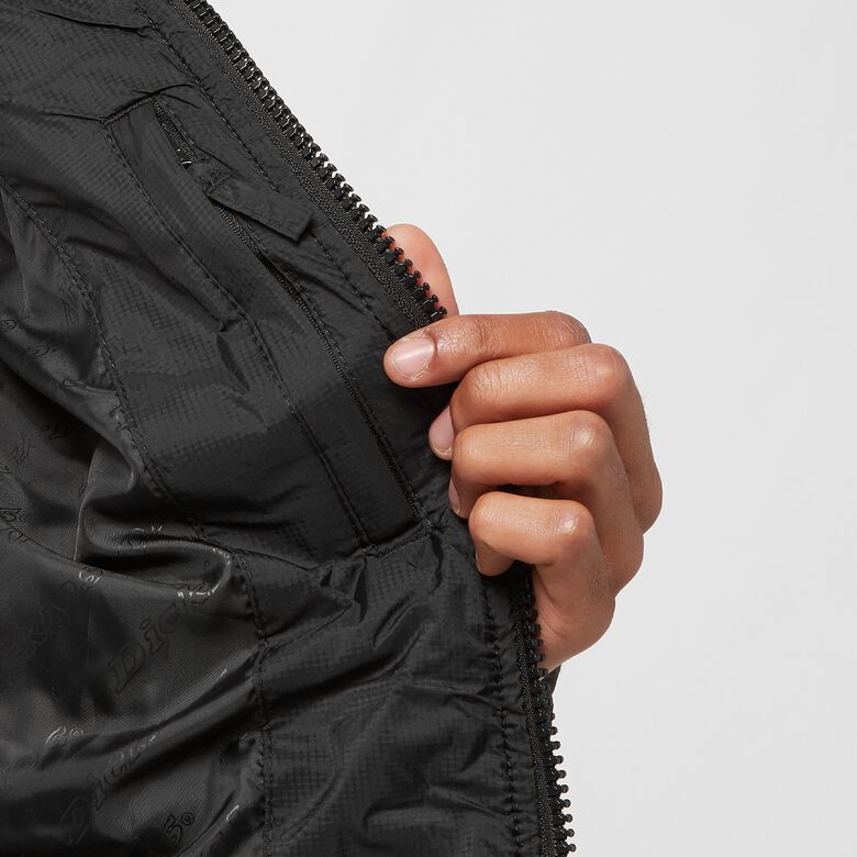 Dickies Waldenburg Black