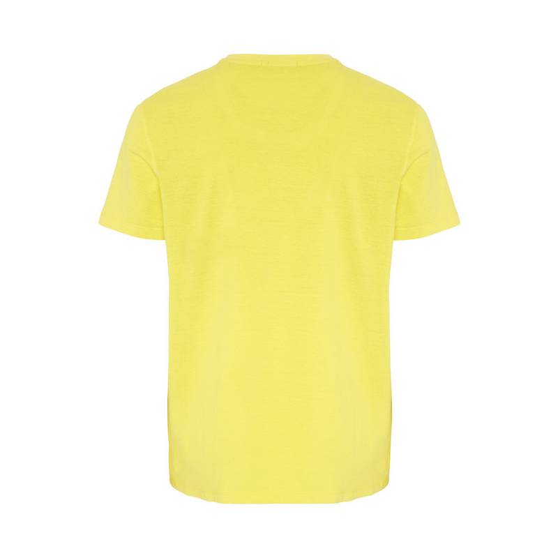 Chiemsee T-Shirt T-Shirt Herren