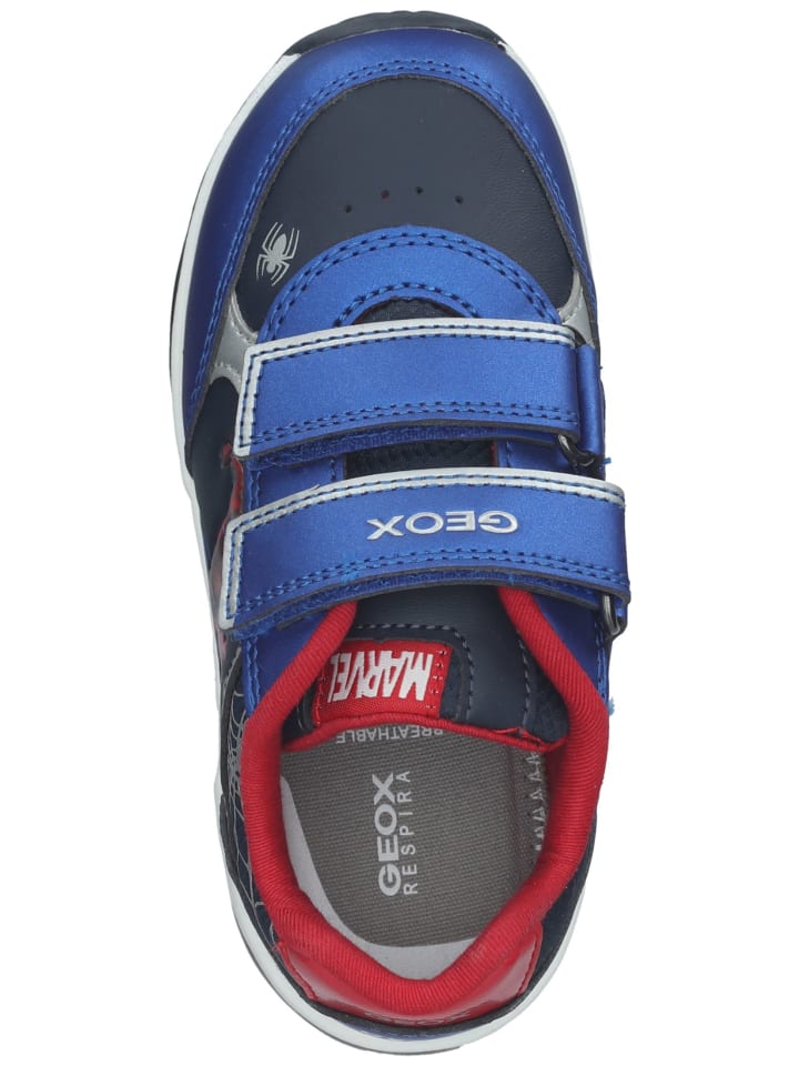 Geox Sneaker in Navy/Rot günstig kaufen