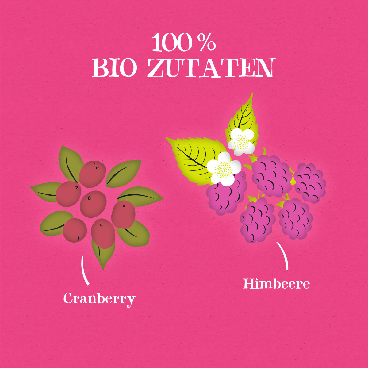 Früchtetee Cranberry, Himbeere (20 Beutel), 50 g