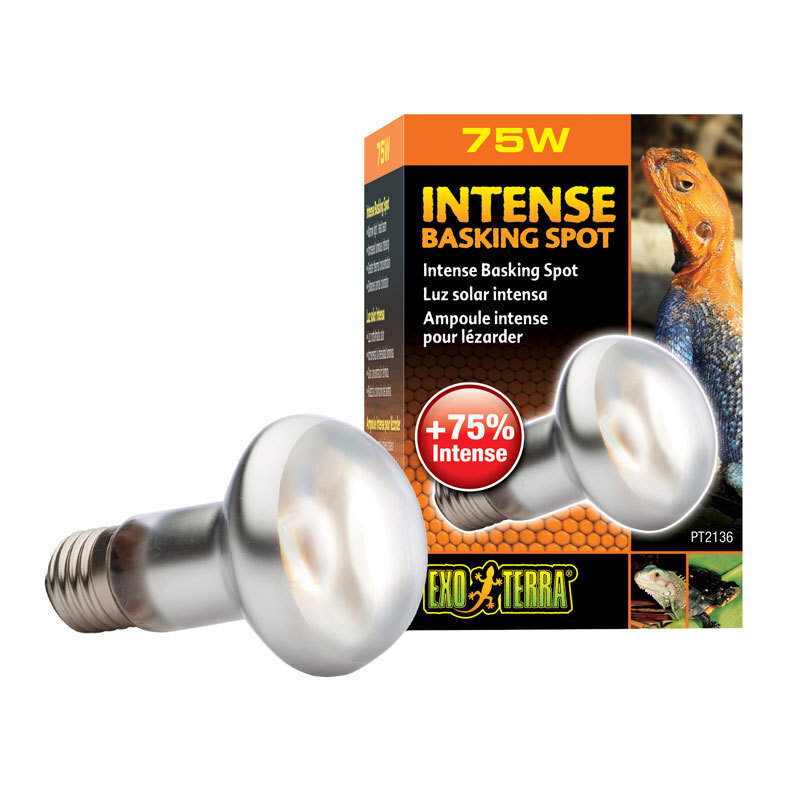 Exo Terra Beleuchtung Exo Terra Intense Basking Spot 75 W