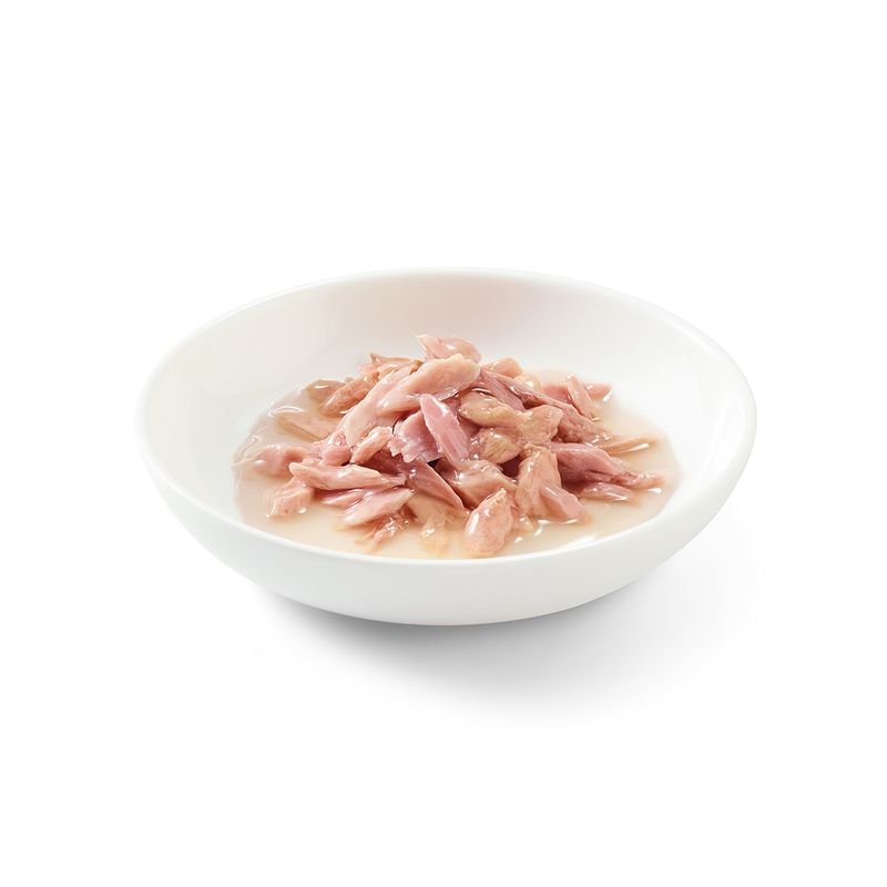 Sparpaket Schesir in Brühe 24 x 70 g zu TOP-Preisen