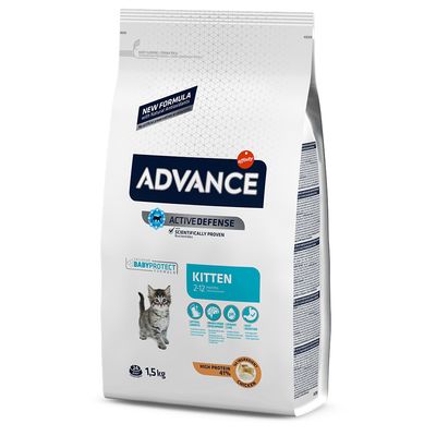 Advance Kitten