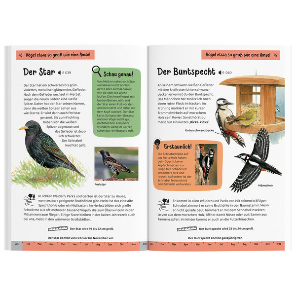WAS FLIEGT DENN DA? KINDERNATURFÜHRER - Kinderbuch