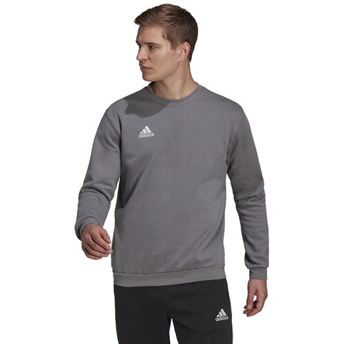 HERREN SWEATSHIRT ENTRADA 22 (NORMAL & LANG)