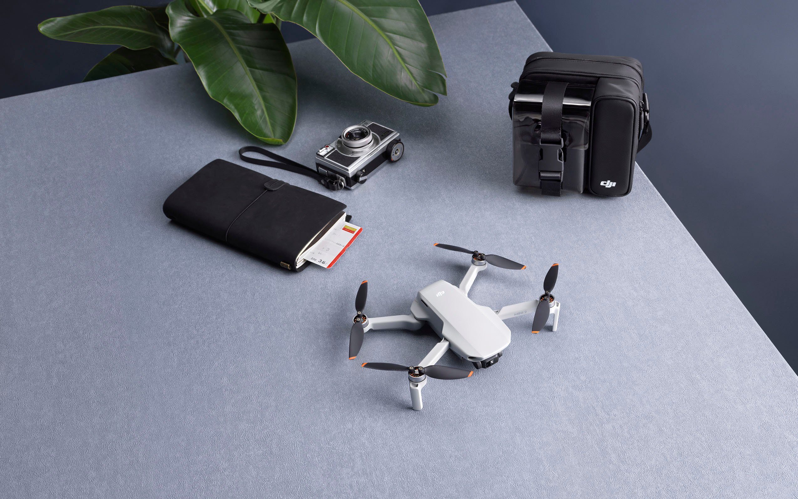 DJI MINI 2 SE Drohne (2,7K)
