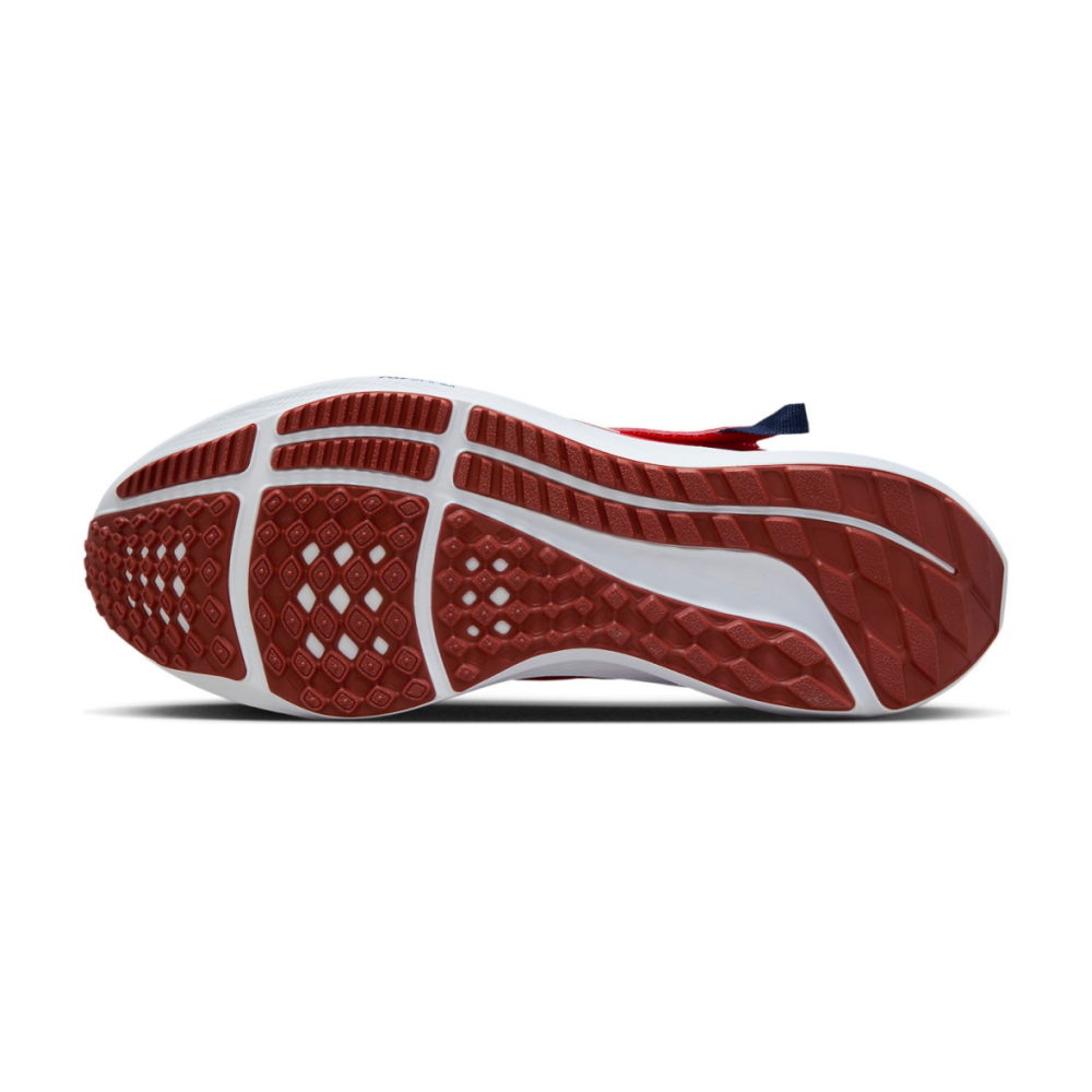 Nike Pegasus FlyEase DJ7381-601 / rot