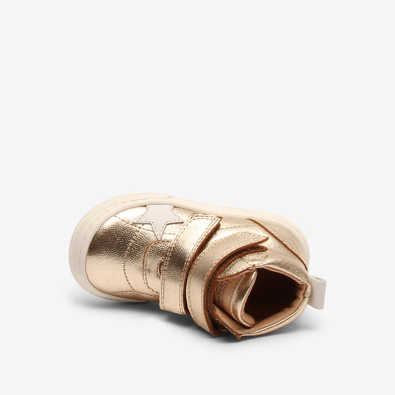 keo gold - Gold