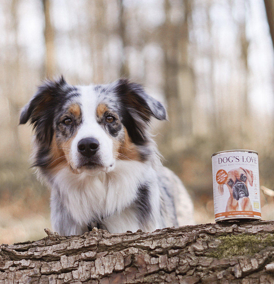 DOG'S LOVE Hundenassfutter DOG'S LOVE BIO 6x400g Pute mit Amaranth & Kürbis