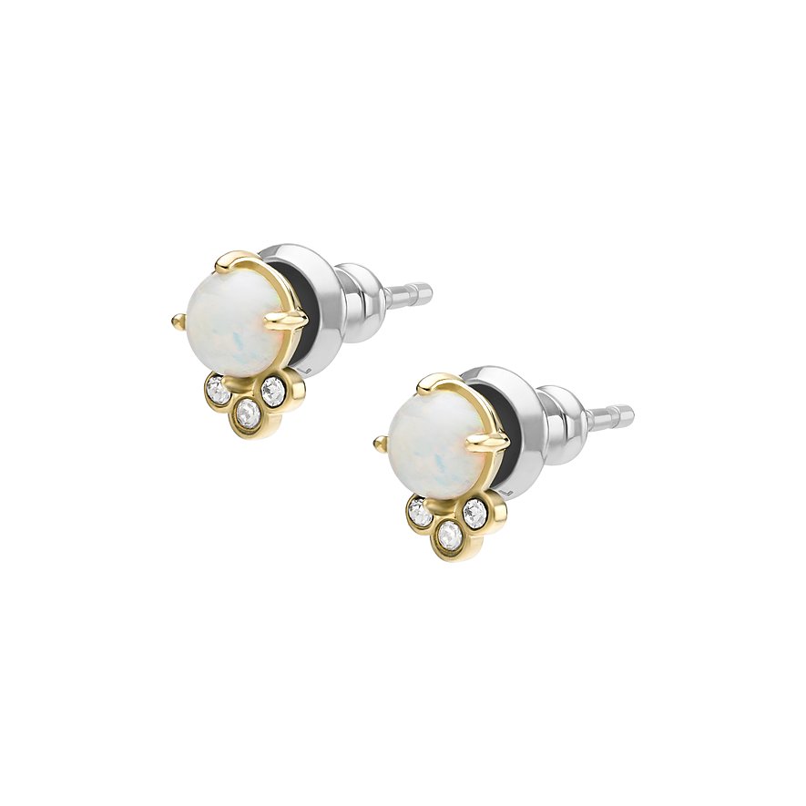 Fossil Ohrstecker Val