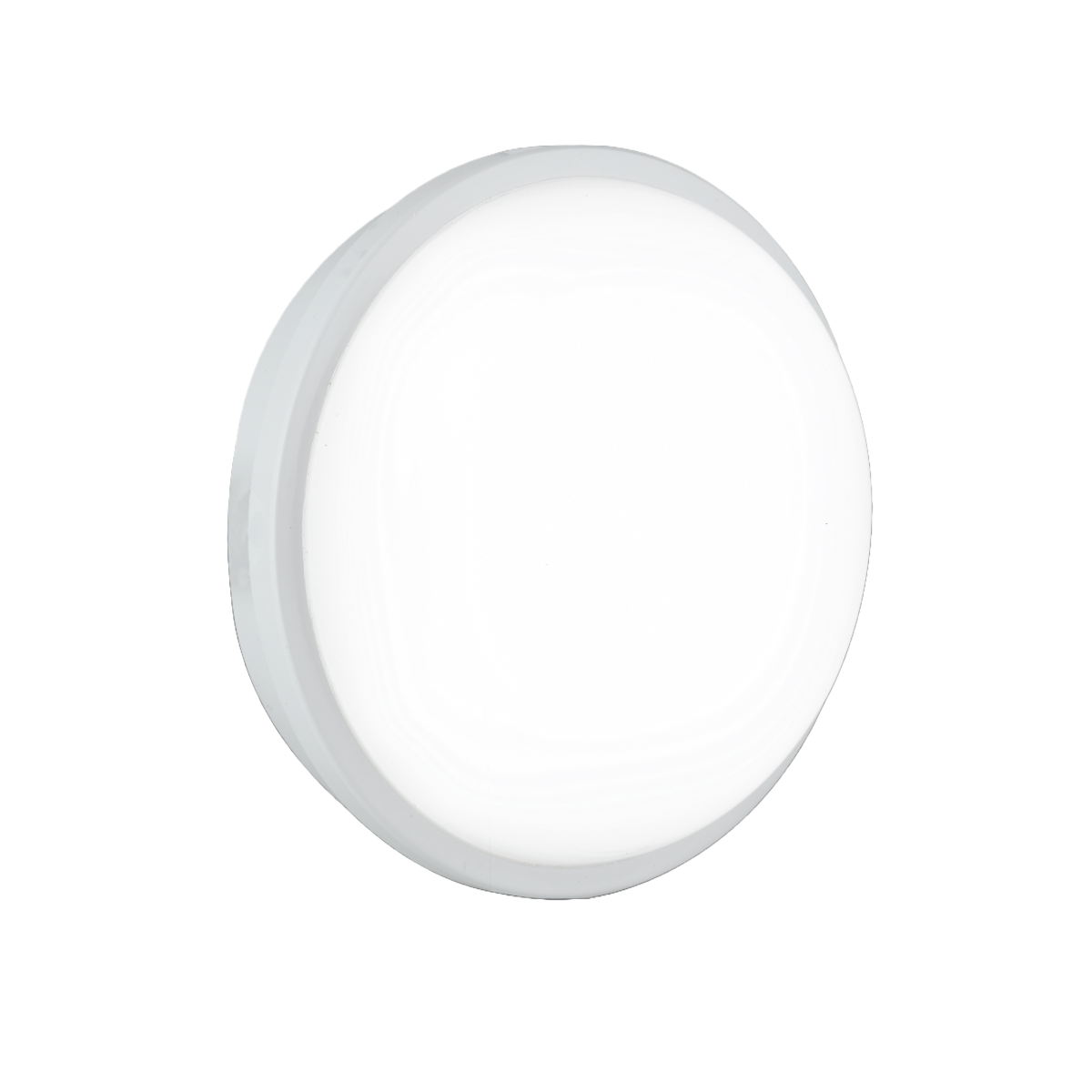 LED Außenwandleuchte Ever-L-BC