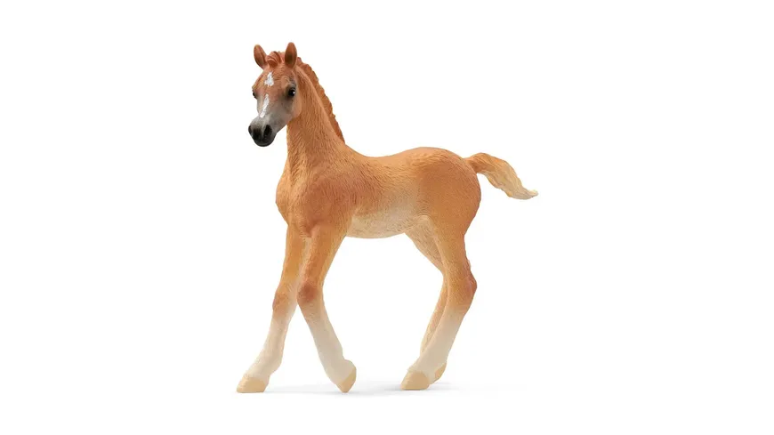 Schleich 13984 - Horse Club - Araber Fohlen