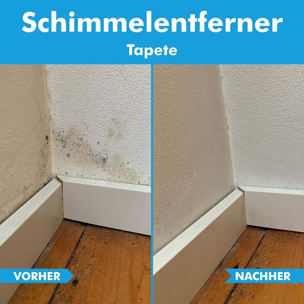 ABACUS Anti-Schimmel-Spray, Schimmelex für Wand und Bad, Anti-Schimmel Schimmelentferner (inkl. Experten Tipps, [2-St. 2x750ml Sofortwirkung mit Langzeiteffekt)