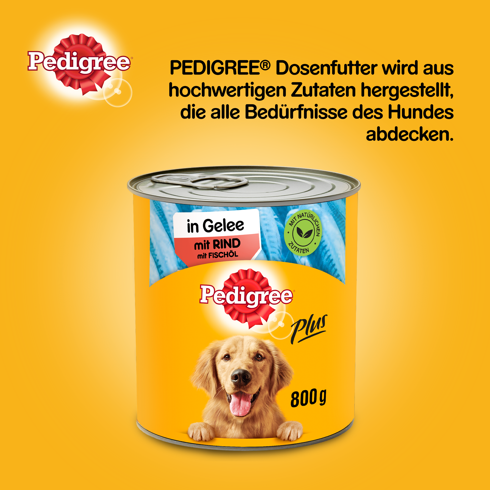 Pedigree Hundenassfutter Pedigree Adult Plus 12x800g Rind mit Fischöl, in Gelee