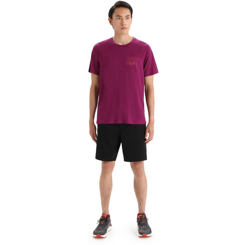 Icebreaker TECH LITE II Funktionsshirt Herren