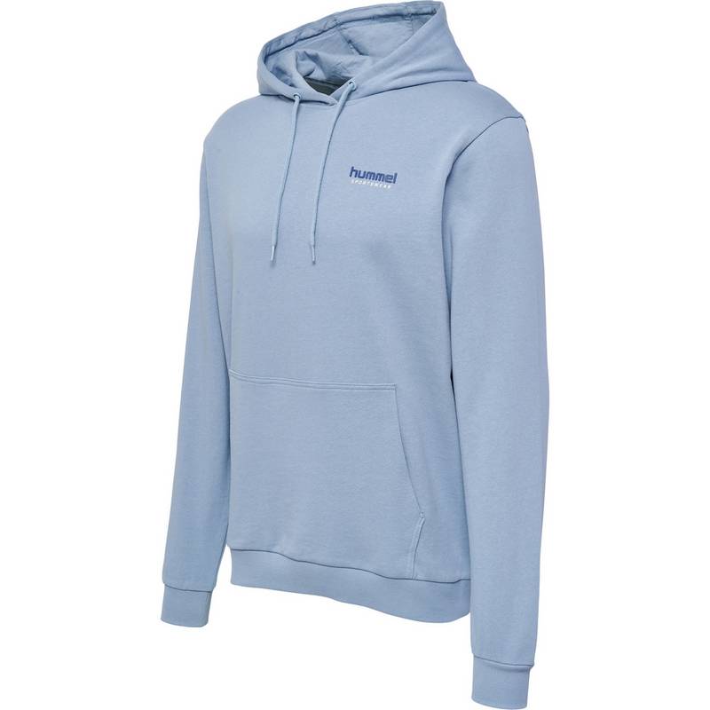 hummel hmlLGC GABE HOODIE Hoodie Herren