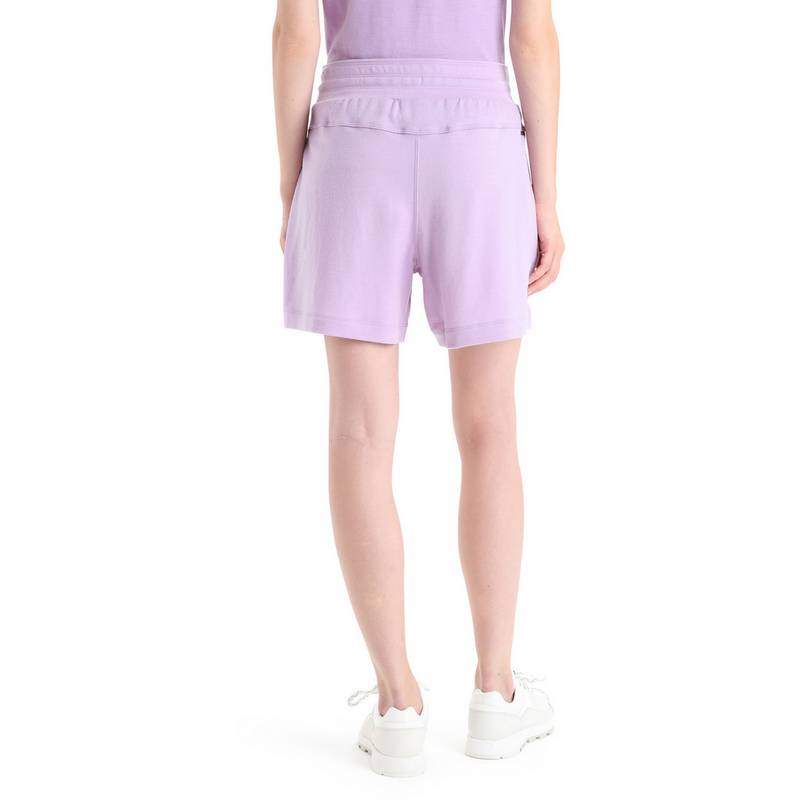 Icebreaker CRUSH Sweatshorts Damen