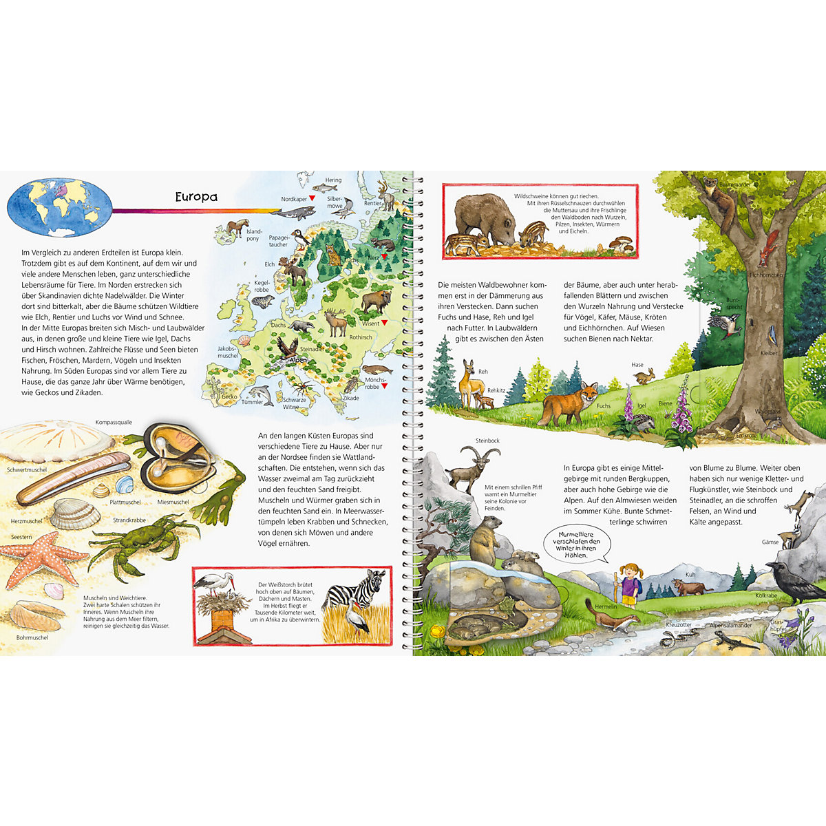 WWW Mein großer Tieratlas