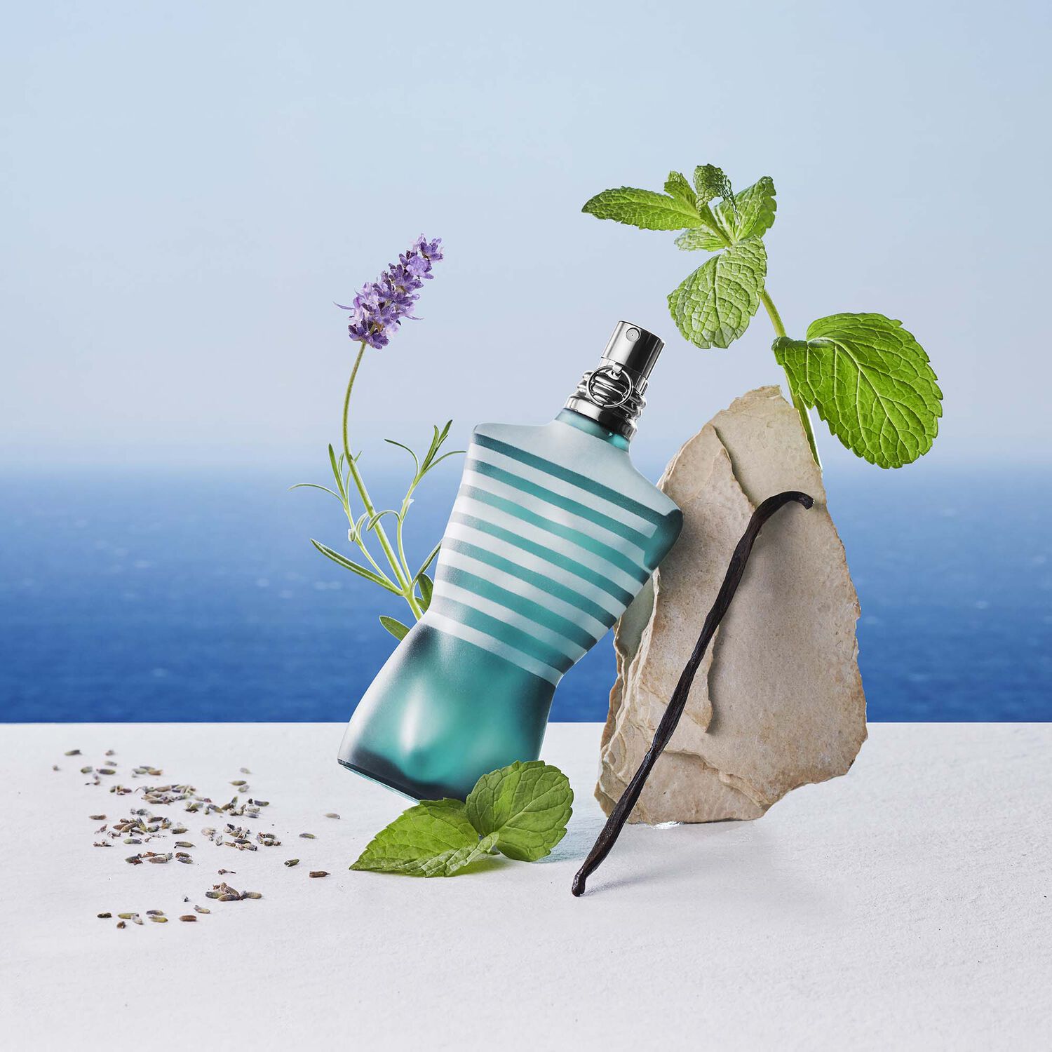 Jean Paul Gaultier Le Male Eau de Toilette