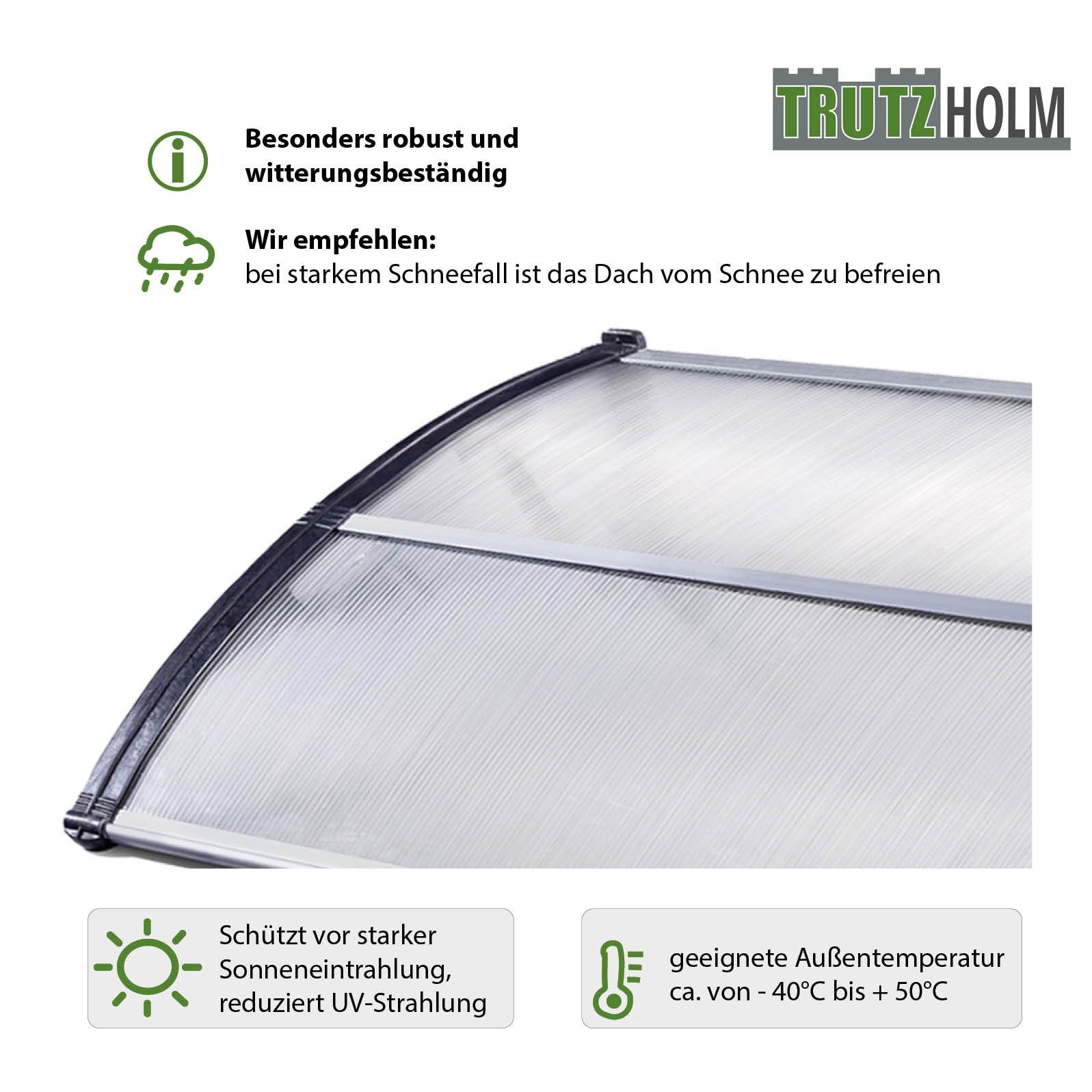 TRUTZHOLM Vordach diverse Größen und Farben Haustürdach Pultvordach Kunststoff Alu (1 St)