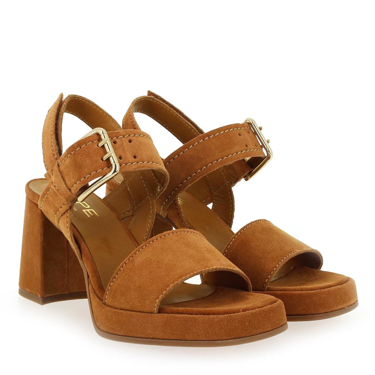Alpe  2572 - Camel