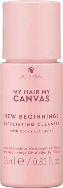 Alterna My Hair My Canvas New Beginnings Shampoo