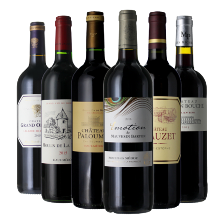 PACK BORDEAUX SPÉCIAL MILLÉSIME 2015
