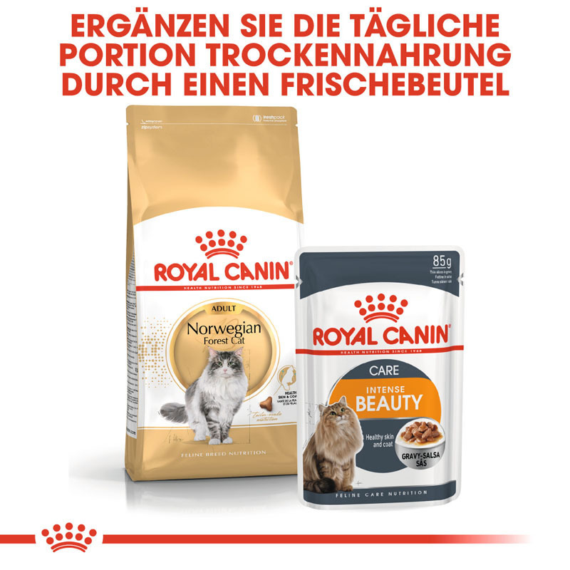 ROYAL CANIN Trockenfutter ROYAL CANIN Norwegian Forest Adult 400 g