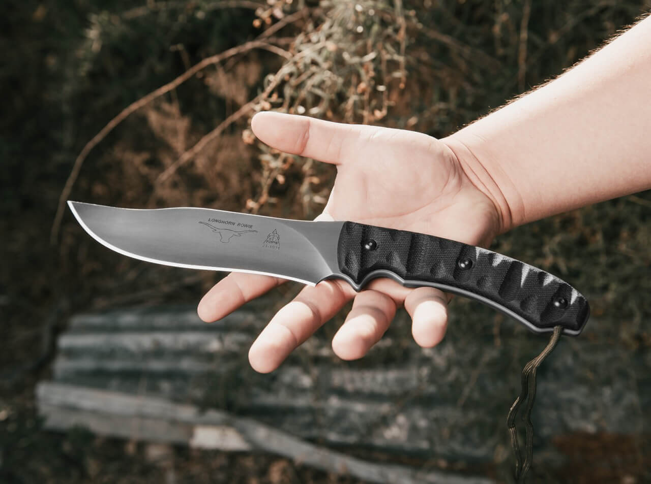 Longhorn Bowie