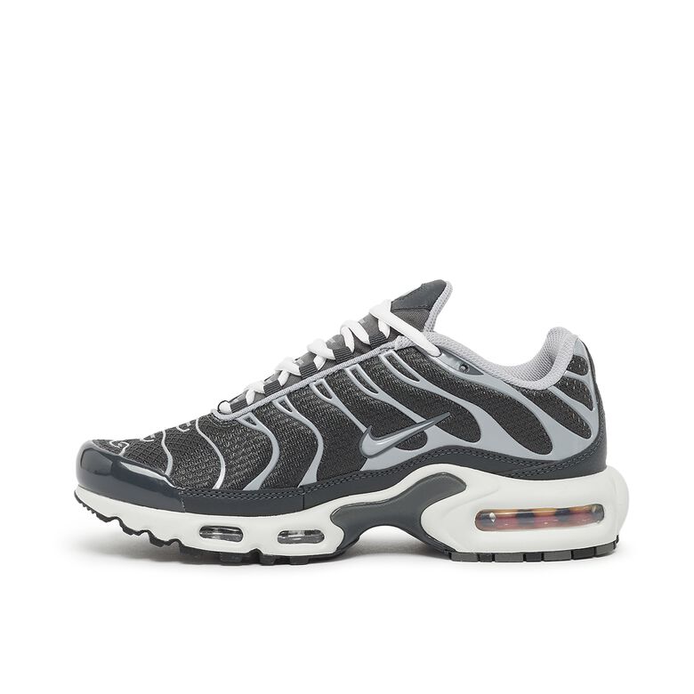 NIKE Wmns Air Max Plus Greyscale 