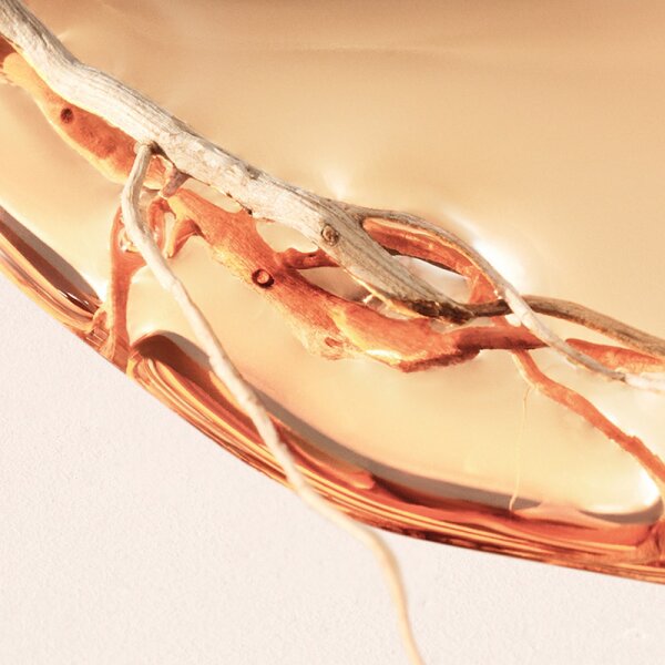 Hugo Boss Boss Alive Intense Eau de Parfum
