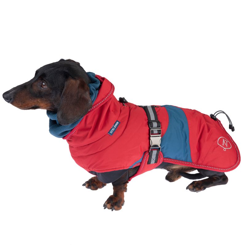 Nomad Tales Bloom Hundemantel Sunset zu TOP-Preisen