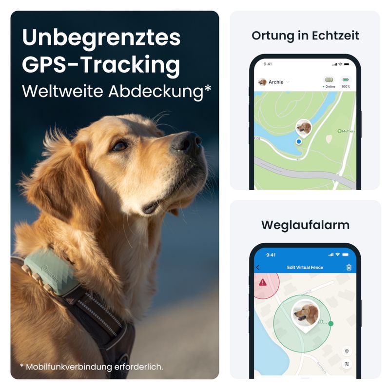 Tractive GPS Tracker XL für Hunde zu TOP-Preisen