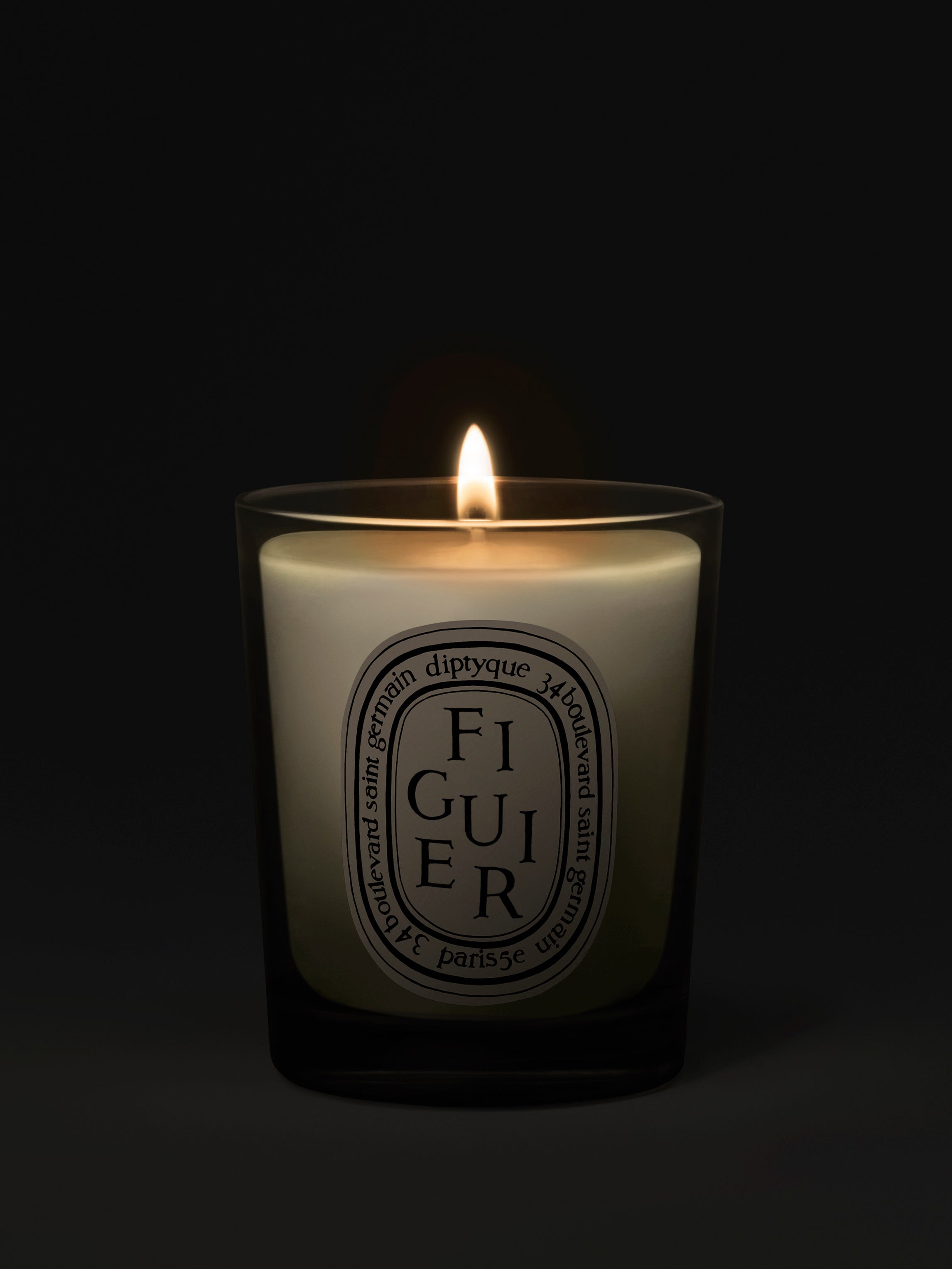 Figuier - Bougie petit modèle
