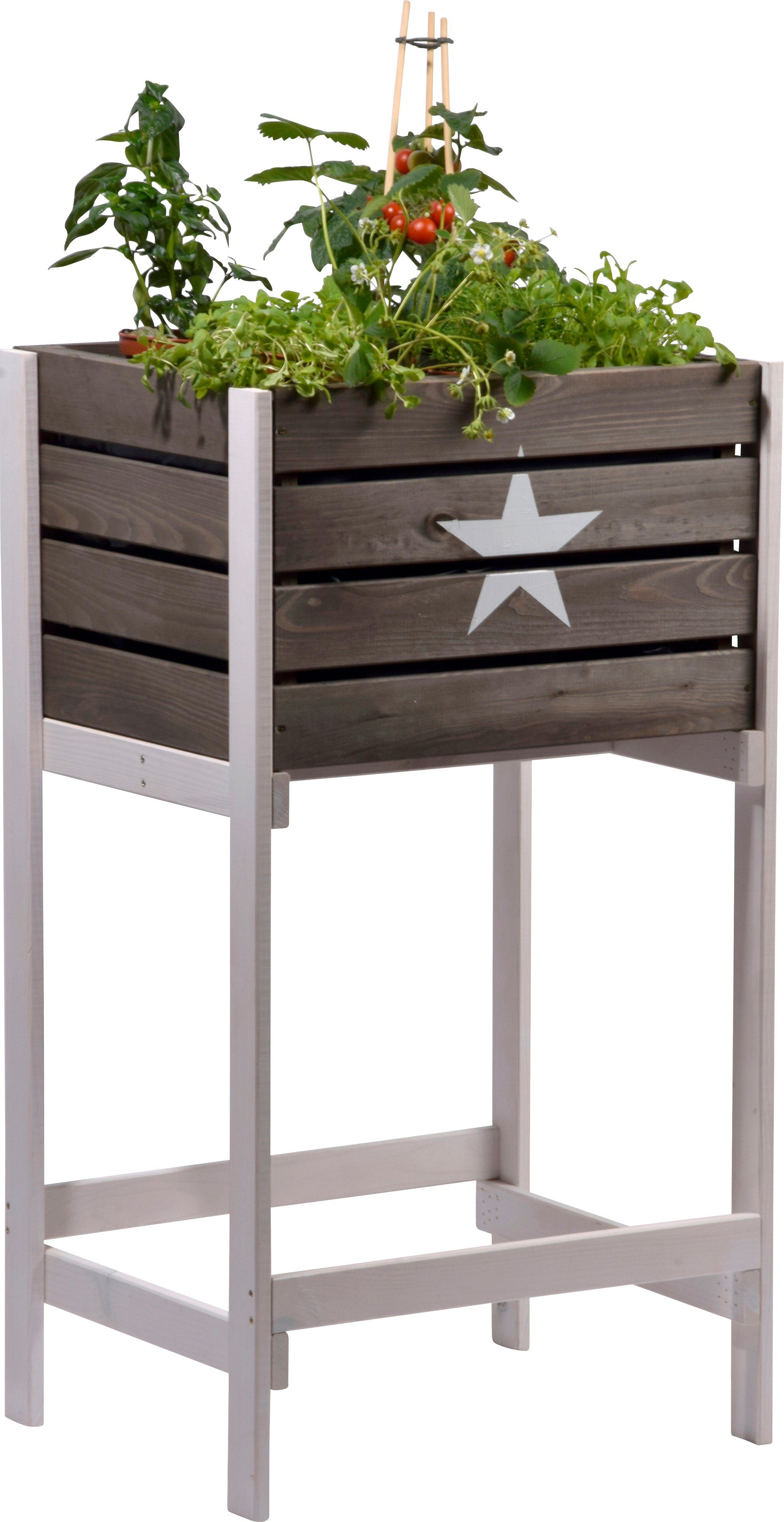 dobar Hochbeet Obstkiste, BxTxH: 49x42x90 cm