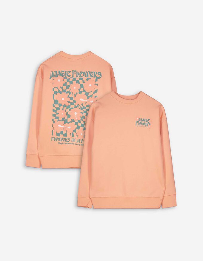 Sweatshirt - Rückenprint