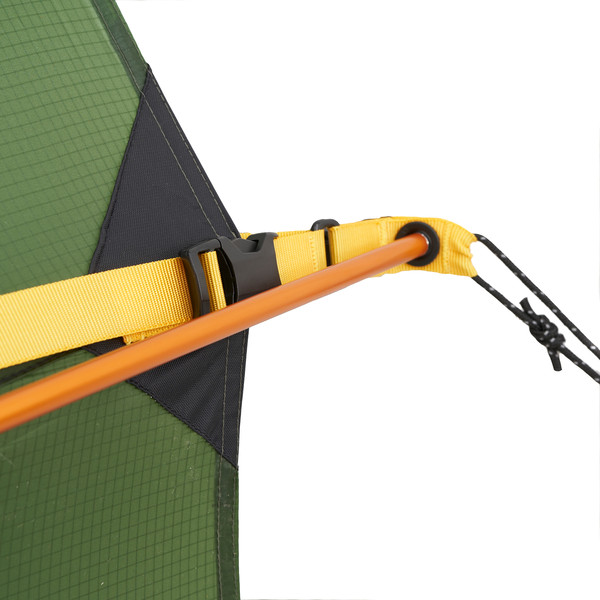 TENT APTERYX 3