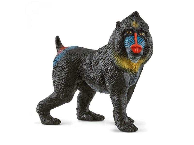 Mandrill