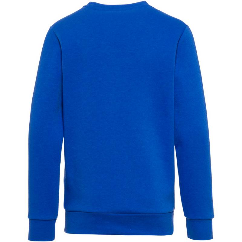 CHAMPION Legacy American Classics Sweatshirt Kinder