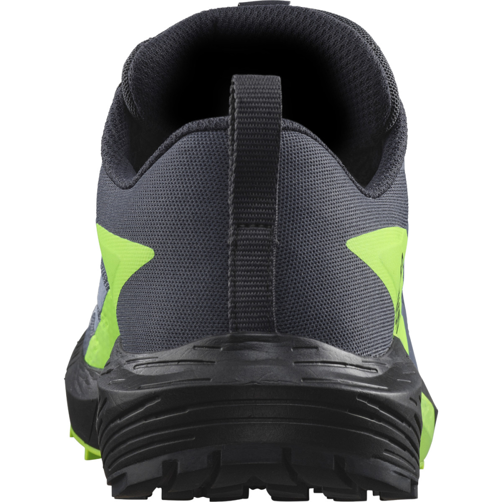 Salomon Sense Ride 5 GTX L47312800 / grau