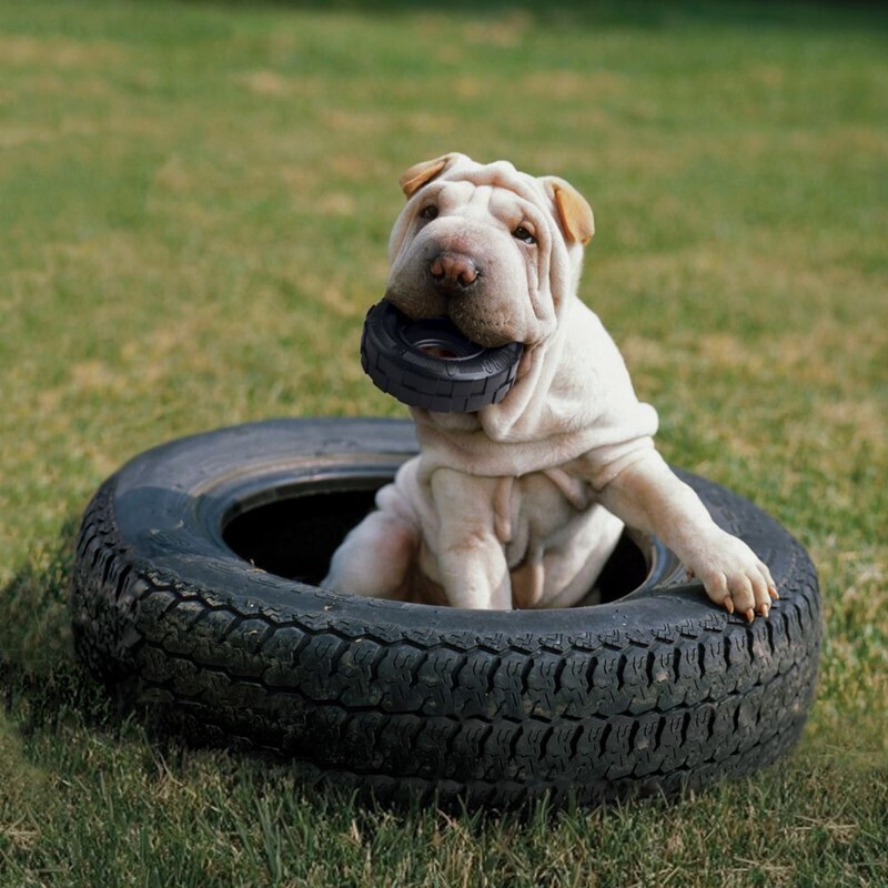 KONG Frisbees & Wurfspielzeug KONG Tyres